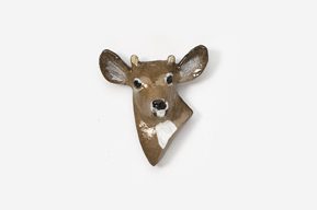 A deer head is hanging on the wall.