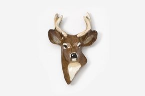 A deer head with antlers hanging on the wall.