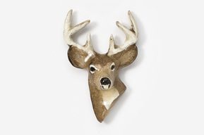 A deer head with antlers hanging on the wall.