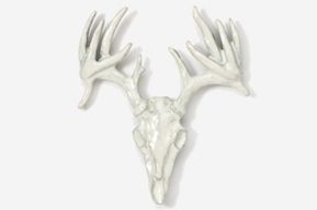 A white deer skull with antlers on top of it.