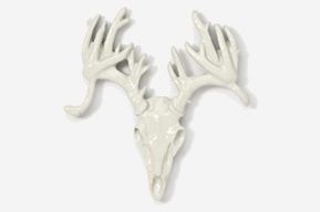 A white deer skull with antlers on top of it.