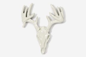 A white deer skull with antlers hanging on the wall.