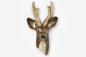 A deer head with antlers hanging on the wall.