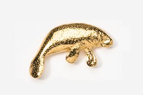 A gold colored animal is shown on the ground.