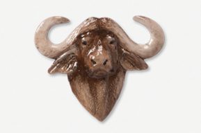 A brown and white buffalo head with horns.