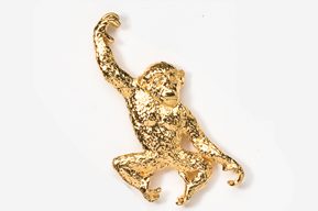 A gold monkey is sitting on the ground.