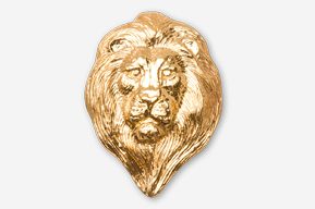 A gold lion head is shown in this image.