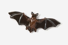 A bat with wings spread and a brown bear on it's back.