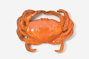 A crab is shown in an orange color.