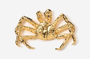 A gold crab is shown in this picture.