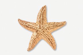 A gold starfish is shown on the white background.