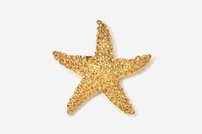 A gold star fish is shown on the white background.