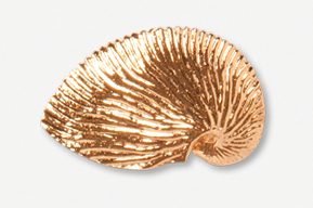 A gold shell dish is sitting on the floor.