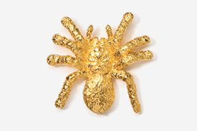 A gold spider brooch is shown in this image.