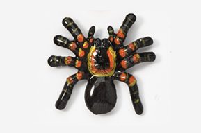 A black and orange spider with yellow spots.