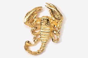 A gold scorpion pin is shown.