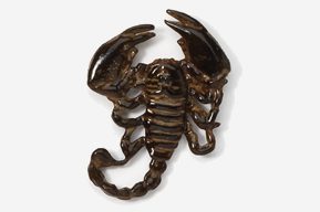 A scorpion is shown in this picture.