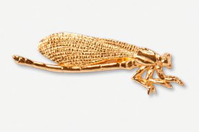 A gold colored insect with long legs and a body.