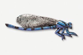 A blue and black insect with long legs