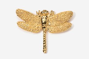 A gold dragonfly is shown in this picture.