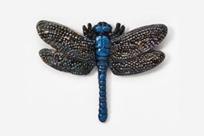 A blue and black dragonfly is shown on the wall.
