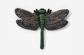 A green and black dragonfly is shown on the wall.