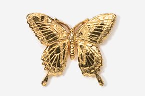 A gold butterfly is shown in this picture.