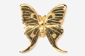 A gold butterfly with two eyes and antennae.