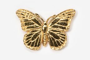 A gold butterfly is shown on the white background.