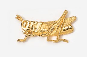 A close up of the gold plated grasshopper pin