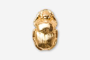 A gold scarab is shown in this picture.