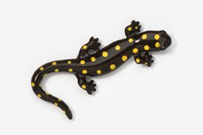 A black and yellow spotted lizard is sitting on the ground.