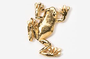 A gold frog is shown in this picture.