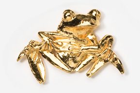 A gold frog is sitting on top of the ground.