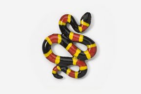 A black, red and yellow snake is on the ground.