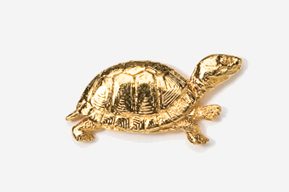 A gold turtle is shown in this picture.