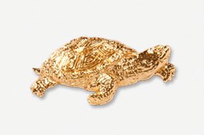 A gold turtle is sitting on the ground.