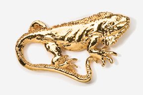 A gold lizard is shown in this picture.