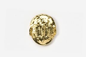 A gold plated metal object with a picture of a trilobite.