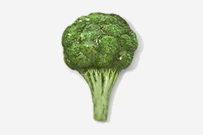 A broccoli head is shown on the white background.