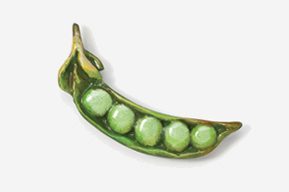 A green pea pod with six peas in it.