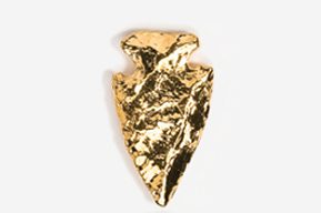 A gold arrowhead is shown on top of the white background.