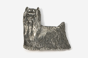 A silver dog is sitting on the ground.