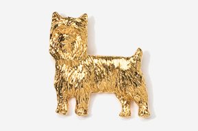 A gold colored dog is shown in this picture.