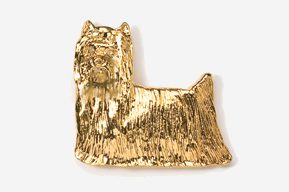 A gold dog is sitting on top of the ground.