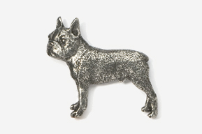 A silver dog is standing up against the wall.