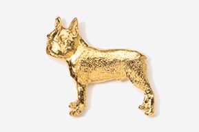 A gold dog is standing up in the air.