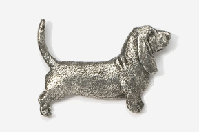 A silver dog is standing up to the side.