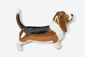 A brown and white dog is standing up