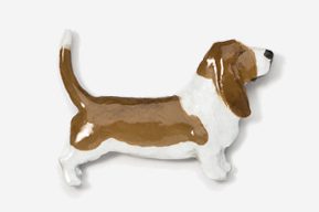 A brown and white dog is standing up